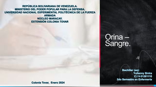 Pedro Armijo
Orina –
Sangre.
REPÚBLICA BOLIVARIANA DE VENEZUELA.
MINISTERIO DEL PODER POPULAR PARA LA DEFENSA.
UNIVERSIDAD NACIONAL EXPERIMENTAL POLITÉCNICA DE LA FUERZA
ARMADA
NÚCLEO MARACAY.
EXTENSIÓN COLONIA TOVAR
Bachiller (es):
Yulianny Sivira
C.I V-31261110
2do Semestre en Enfermería
Colonia Tovar, Enero 2024
 