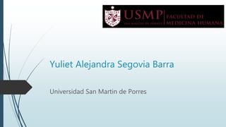 Yuliet Alejandra Segovia Barra
Universidad San Martin de Porres
 