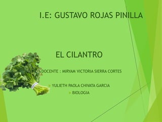 I.E: GUSTAVO ROJAS PINILLA
EL CILANTRO
 DOCENTE : MIRYAM VICTORIA SIERRA CORTES
 YULIETH PAOLA CHIVATA GARCIA
 BIOLOGIA
 
