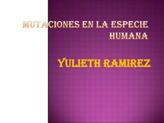 YULIETH RAMIREZ
 