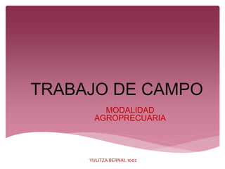 TRABAJO DE CAMPO
MODALIDAD
AGROPRECUARIA
YULITZA BERNAL 1002
 