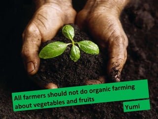 All farmers should not do organic farming about vegetables and fruits  Yumi  