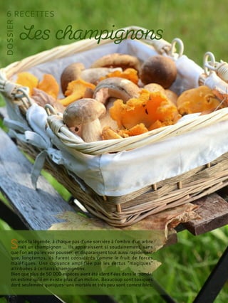 elon la légende, à chaque pas d'une sorcière à l'ombre d’un arbre
naît un champignon ... Ils apparaissent si soudainement, sans
que l’on ait pu les voir pousser, et disparaissent tout aussi rapidement
que, longtemps, ils furent considérés comme le fruit de forces
maléfiques. Une croyance amplifiée par les vertus “magiques”
attribuées à certains champignons.
Bien que plus de 50 000 espèces aient été identifiées dans le monde,
on estime qu’il en existe plus d’un million. Beaucoup sont toxiques
dont seulement quelques-uns mortels et très peu sont comestibles.
 