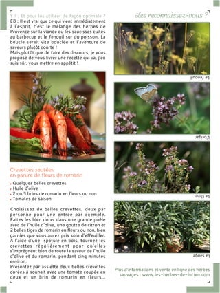 Y ! : Et pour les utiliser de façon optimale ?
EB : Il est vrai que ce qui vient immédiatement
à l’esprit, c’est le mélange des herbes de
Provence sur la viande ou les saucisses cuites
au barbecue et le fenouil sur du poisson. La
boucle serait vite bouclée et l’aventure de
saveurs plutôt courte !
Mais plutôt que de faire des discours, je vous
propose de vous livrer une recette qui va, j’en
suis sûr, vous mettre en appétit !
Quelques belles crevettes
Huile d’olive
2 ou 3 brins de romarin en fleurs ou non
Tomates de saison
Choisissez de belles crevettes, deux par
personne pour une entrée par exemple.
Faites les bien dorer dans une grande poêle
avec de l’huile d’olive, une goutte de citron et
2 belles tiges de romarin en fleurs ou non, bien
garnies que vous aurez pris soin d’effeuiller.
A l’aide d’une spatule en bois, tournez les
crevettes régulièrement pour qu’elles
s’imprègnent bien de toute la saveur de l’huile
d’olive et du romarin, pendant cinq minutes
environ.
Présentez par assiette deux belles crevettes
dorées à souhait avec une tomate coupée en
deux et un brin de romarin en fleurs…
Lefenouil
L’origan
Lethym
Lasauge
Plus d’informations et vente en ligne des herbes
sauvages : www.les-herbes-de-lucien.com
 