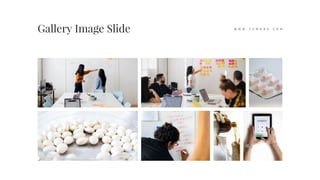 Gallery Image Slide W W W . Y U M O R A . C O M
 