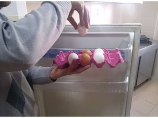 arranging / putting eggs into the fridge