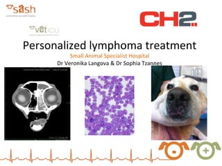 Personalized lymphoma treatment
Small Animal Specialist Hospital
Dr Veronika Langova & Dr Sophia Tzannes
 