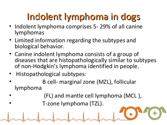 Canine lymphosarcoma causes