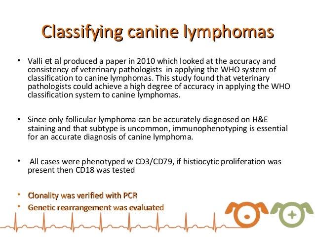 canine lymphoma