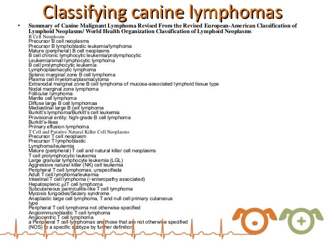 Canine lymphoma organization