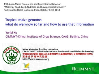 Tropical maize genome：
what do we know so far and how to use that information
Yunbi Xu
CIMMYT-China, Institute of Crop Science, CAAS, Beijing, China
13th Asian Maize Conference and Expert Consultation on
“Maize for Food, Feed, Nutrition and Environmental Security”
Radisson Blu Hotel, Ludhiana, India, October 8‐10, 2018
 