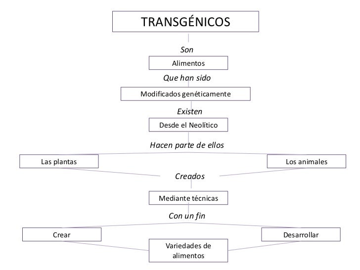 Yuneris diapositivas