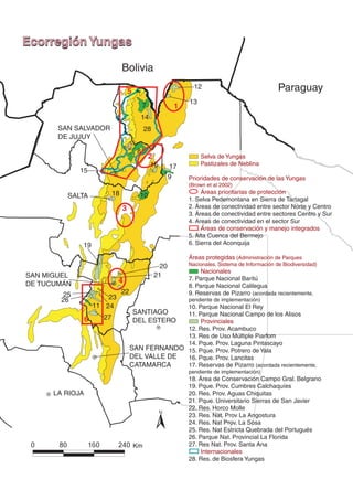 Ecorregi n
Ecorregión Yungas

                                 Bolivia

                                     5
                                                                   12                                Paraguay
                                                                 13
                                             7               1
                                          14
       SAN SALVADOR                           28
       DE JUJUY

                                         8
                                                 2                    Selva de Yungas
                                                 16         17        Pastizales de Neblina
              15
                                                            9    Prioridades de conservación de las Yungas
                                                                 (Brown et al 2002)
                            18                                        Áreas prioritarias de protección
          SALTA                           10
                                                                 1. Selva Pedemontana en Sierra de Tartagal
                                 3                               2. Áreas de conectividad entre sector Norte y Centro
                                                                 3. Áreas de conectividad entre sectores Centro y Sur
                                                                 4. Areas de conectividad en el sector Sur
                                                                      Áreas de conservación y manejo integrados
                                                                 5. Alta Cuenca del Bermejo
              19                                                 6. Sierra del Aconquija

                                                                 Áreas protegidas (Administración de Parques
                                                       20        Nacionales. Sistema de Información de Biodiversidad)
                                                                     Nacionales
SAN MIGUEL                                           21          7. Parque Nacional Baritú
DE TUCUMÁN                    4
                                                                 8. Parque Nacional Calilegua
         25                      22                              9. Reservas de Pizarro (acordada recientemente,
        26               23                                      pendiente de implementación)
                     11 24                         10. Parque Nacional El Rey
                                       SANTIAGO    11. Parque Nacional Campo de los Alisos
                 6     27              DEL ESTERO       Provinciales
                                                   12. Res. Prov. Acambuco
                                                   13. Res de Uso Múltiple Piarfom
                                                   14. Pque. Prov. Laguna Pintascayo
                                      SAN FERNANDO 15. Pque. Prov. Potrero de Yala
                                      DEL VALLE DE 16. Pque. Prov. Lancitas
                                      CATAMARCA    17. Reservas de Pizarro (acordada recientemente,
                                                                 pendiente de implementación)
                                                                 18. Área de Conservación Campo Gral. Belgrano
                                                                 19. Pque. Prov. Cumbres Calchaquíes
      LA RIOJA                                                   20. Res. Prov. Aguas Chiquitas
                                                                 21. Pque. Universitario Sierras de San Javier
                                                                 22. Res. Horco Molle
                                                                 23. Res. Nat. Prov La Angostura
                                                                 24. Res. Nat Prov. La Sosa
                                                                 25. Res. Nat Estricta Quebrada del Portugués
                                                                 26. Parque Nat. Provincial La Florida
                                         Km                      27. Res Nat. Prov. Santa Ana
                                                                      Internacionales
                                                                 28. Res. de Biosfera Yungas
 