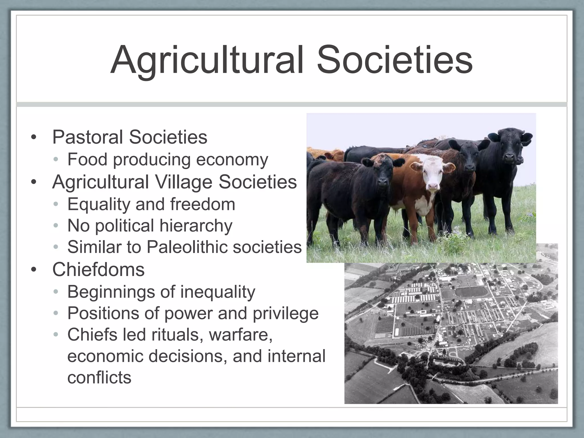 Agricultural SocietiesPastoral SocietiesFood producing economyAgricultural Village SocietiesEquality and freedomNo political hierarchySimilar to Paleolithic societiesChiefdomsBeginnings of inequalityPositions of power and privilegeChiefs led rituals, warfare, economic decisions, and internal conflicts