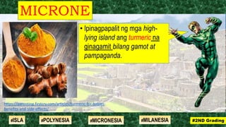 • Ipinagpapalit ng mga high-
lying island ang turmeric na
ginagamit bilang gamot at
pampaganda.
MICRONE
SIA
#2ND Grading#ISLA #MILANESIA#POLYNESIA #MICRONESIA
https://parenting.firstcry.com/articles/turmeric-for-babies-
benefits-and-side-effects/
 