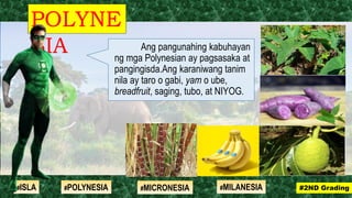 POLYNE
SIA
#2ND Grading#ISLA #MILANESIA#POLYNESIA #MICRONESIA
Ang pangunahing kabuhayan
ng mga Polynesian ay pagsasaka at
pangingisda.Ang karaniwang tanim
nila ay taro o gabi, yam o ube,
breadfruit, saging, tubo, at NIYOG.
 