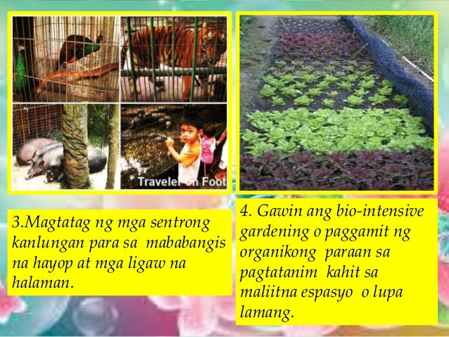 Wastong Pangangalaga Sa Halaman Yunit 2 lesson 5
