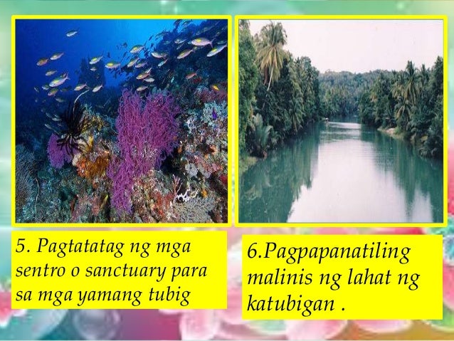 pangangalaga sa mga puno Ang ganda ng paligid ating pagmasdan luntiang mga bukid at mga kagubatan puno ng mga kahoy at mga kahayopan malinis ang hangin at tubig sa kapaligiran. pangangalaga sa mga puno Ang ganda ng paligid ating pagmasdan luntiang mga bukid at mga kagubatan puno ng mga kahoy at mga kahayopan malinis ang hangin at tubig sa kapaligiran.