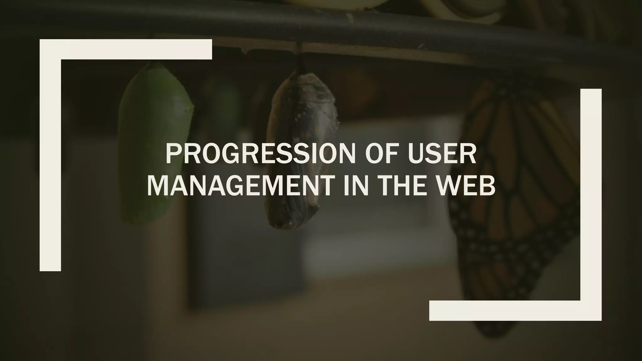 PROGRESSION OF USER MANAGEMENT IN THE WEB 