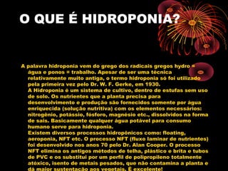 O QUE É HIDROPONIA?


A palavra hidroponia vem do grego dos radicais gregos hydro =
  água e ponos = trabalho. Apesar de ser uma técnica
  relativamente muito antiga, o termo hidroponia só foi utilizado
  pela primeira vez pelo Dr. W. F. Gerke, em 1930.
  A Hidroponia é um sistema de cultivo, dentro de estufas sem uso
  de solo. Os nutrientes que a planta precisa para
  desenvolvimento e produção são fornecidos somente por água
  enriquecida (solução nutritiva) com os elementos necessários:
  nitrogênio, potássio, fósforo, magnésio etc., dissolvidos na forma
  de sais. Basicamente qualquer água potável para consumo
  humano serve para hidroponia.
  Existem diversos processos hidropônicos como: floating,
  aeroponia, NFT etc. O processo NFT (fluxo laminar de nutrientes)
  foi desenvolvido nos anos 70 pelo Dr. Alan Cooper. O processo
  NFT elimina os antigos métodos de telha, plástico e brita e tubos
  de PVC e os substitui por um perfil de polipropileno totalmente
  atóxico, isento de metais pesados, que não contamina a planta e
  dá maior sustentação aos vegetais. É excelente!
 