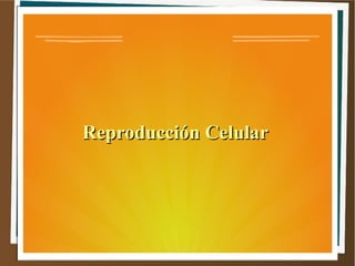 Reproducción CelularReproducción Celular
 