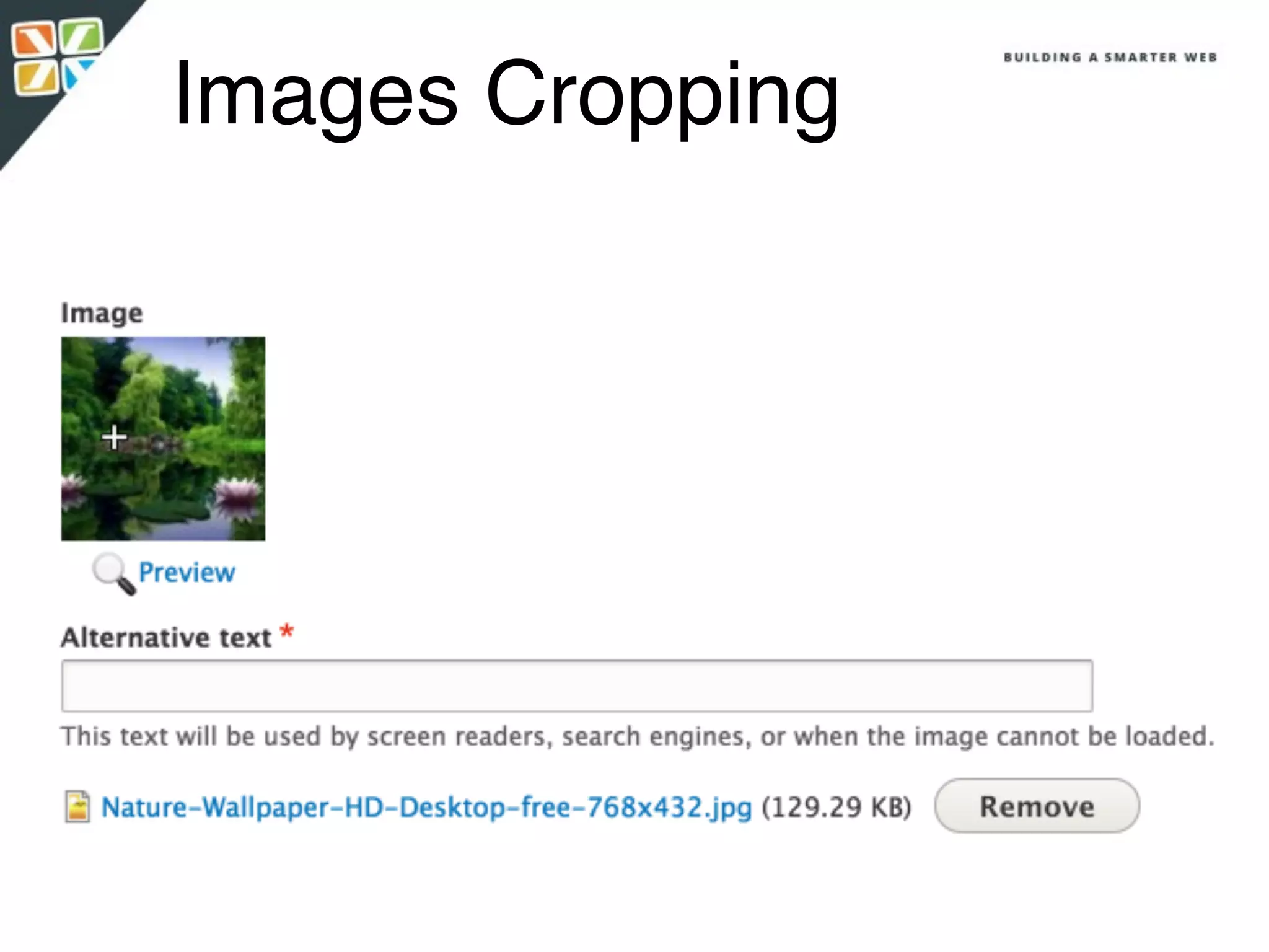 Images Cropping