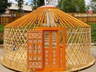 Yurts
