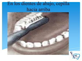 En los dientes de abajo, cepilla
          hacia arriba
 