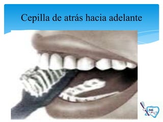 Cepilla de atrás hacia adelante
 