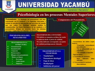 TRASTORNOS EN LA
VELOCIDAD:
 Taquipsiquia
 Pensamiento ideofugal
 Fuga de ideas
 Bradipsiquia
 Inhibición del pensar
TRASTORNOS EN LA
ESTRUCTURA:
 Circunstancial
 Escamoteador
 Concreto
 Perseverativo
 Bloqueo del pensamiento
 Mente en blanco
 En tropel
 Ambivalente
 Impuesto
Psicofisiología en los procesos Mentales Superiores
PSICOPATOLOGIA DEL
PENSAMIENTO
Componentes del Pensamiento.
TRASTORNOS DEL CONTENIDO
El delirio se comunica en ideas, las cuales
se elaboran desde el juicio de realidad.
La idea delirante corresponde a un juicio
de realidad patológicamente falseado.
 