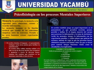 El cerebro también juega un papel importante en el
pensamiento ya que permiten recordar, pensar,
percibir y hablar. Es el órgano maestro del cuerpo
para procesar la información y la toma de decisiones;
recibe los mensajes, integra la información con las
experiencias pasadas, y realiza planes que guiaran las
acciones, además de regir lo que las personas hacen,
administra muchas actividades sobre las que se tienen
poco control; integra funciones vitales como la
circulación y la respiración.
Psicofisiología en los procesos Mentales Superiores
CEREBRO Y PENSAMIENTO
Estilos de pensamiento del modelo del cerebro completo
1. Lógico
2. Organizador
3. Comunicador
4. Visionario
El cerebro humano es conducido por cuatro cuadrantes interconectados
referidos a los modos de procesamiento mental. Es estos cuatro estilos de
pensamiento se organizan los hemisferios izquierdo y derecho del cerebro
resultando en cada uno de ellos importantes y distintas características del
comportamiento del ser humano
• El cerebro domina el lenguaje y el pensamiento,
trabajan varias áreas juntas para facilitar la
comunicación.
• El cerebro debe validar muchas señales a la
sola vez de las diversas fuentes (los receptores
y memoria) a través de diversos neuro-
caminos (los caminos que consisten en las
neuronas conectadas el uno al otro).
 
