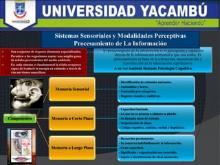 El procesamiento de la información es la percepción y captación
directa de la información ambiental o que nos rodea. El
procesamiento se basa en la extracción, memorización y
reproducción de la información significativa.
A su vez también llamada Psicología Cognitiva.
Componentes
Memoria Sensorial
- Identificación de estímulos entrantes.
- Automática y breve.
- Contenido pre-categorico.
- Registro visuales y auditivos.
Memoria a Corto Plazo
- Capacidad limitada.
- Lo que no se procesa o elabora se pierde.
- Es llamada mesa de trabajo.
- Organización de ideas.
- Código cognitivo, acústico, verbal y lingüístico.
Memoria a Largo Plazo
- Recuerdos permanentes.
- Se conserva indefinidamente la información.
- Gran capacidad.
- Significado y organización son esenciales.
- Sujeto a interferencias de otras memorias..
 Son conjuntos de órganos altamente especializados.
 Permiten a los organismos captar una amplia gama
de señales provenientes del medio ambiente.
 En cada sistema es fundamental la célula receptora
capaz de traducir la energía en estimulo a través de
vías nerviosas especificas.
 