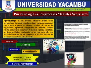 Psicofisiología en los procesos Mentales Superiores
Memoria
Motivación
Atención
- Lenguaje - Lectura
- Habla - Escritura
Clave de Aprendizaje
 