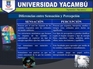 SENSACIÓN PERCEPCIÓN
Proceso por el cual los órganos de los
sentidos responden ante los estímulos
del medio ambiente.
Proceso que organiza, interpreta, analiza e
integra estos estímulos para darles un
significado.
Las estructuras anatómicas que forman
los órganos de los sentidos se
especializan en registrar un tipo de
energía específica: ojos-luz, oído-sonido
Los tipos de percepción se pueden clasificar
según el órgano receptor y tipo de energía
física específica: visión, audición, gusto,
olfato, tacto, movimiento y equilibrio.
Las sensaciones son naturales y
espontaneas
Esta facultada para aprender por medio de
los sentidos, cognición o entendimiento.
Sensaciones son pasivas ya que no
somos consciente de lo que los sentidos
hacen
El cerebro juega un papel activo,
interpretando las percepciones
 