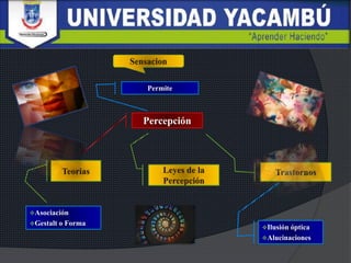 Permite
Percepción
Asociación
Gestalt o Forma
Ilusión óptica
Alucinaciones
 