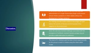 Discussion.
In the current study, we show for the first time that oral
administration of a single Podoviridae phage could prevent
clinical cholera symptoms in infant rabbits without the
development of phage resistance.
Our findings provide further evidence that phage can both
reduce the severity of disease and limit spread of the
organism to the environment.
Given the well-documented challenges associated with the
emergence of antibiotic-resistant bacteria, phage may yet
provide a viable alternative to antibiotics.
The strain of V. cholerae used has been shown experimentally
by this group to result in cholera using the infant rabbit
model.
 