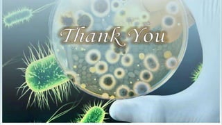 bacteriophage use in therapy