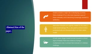 Abstract/Aim of the
paper .
Cholera remains a major risk in developing countries,
Vibrio cholerae El Tor is the most important cause of
these outbreaks, and is becoming increasingly resistant to
antibiotics,
Alternative therapies are urgently needed. In this study, a
single bacteriophage, Phi_1, was used to control cholera
prophylactically and therapeutically in an infant rabbit
model.
In both cases, phage-treated animals showed no clinical
signs of disease There was evidence of phage
multiplication only in animals that received a V. cholerae
challenge.
 