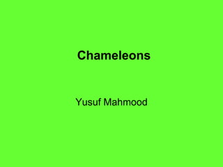 Chameleons


Yusuf Mahmood
 