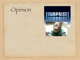 Opinion
 