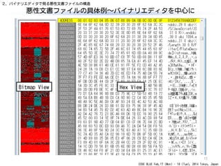 CODE BLUE Feb.17 (Mon) - 18 (Tue), 2014 Tokyo, Japan
悪性文書ファイルの具体例～バイナリエディタを中心に
11
Bitmap View Hex View
２．バイナリエディタで見る悪性文書ファイルの構造
 