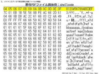 CODE BLUE Feb.17 (Mon) - 18 (Tue), 2014 Tokyo, Japan
悪性PDFファイル具体例：shellcode
14
２．バイナリエディタで見る悪性文書ファイルの構造
 