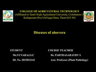 diseases of aloe vera | PPT
