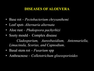 diseases of aloe vera | PPTX