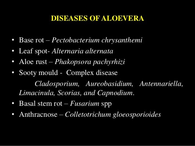 diseases of aloe vera