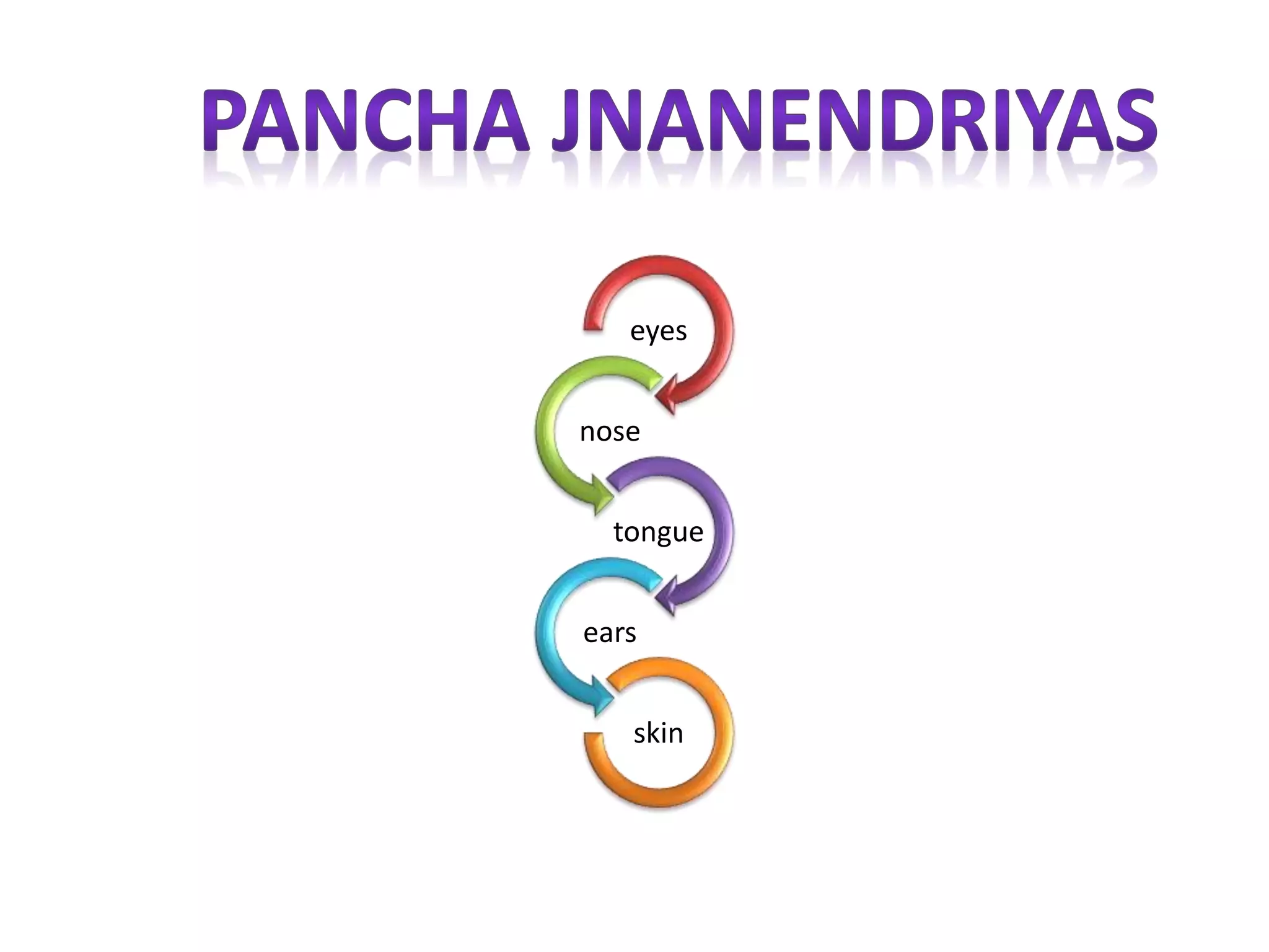 eyes
nose
tongue
ears
skin
 