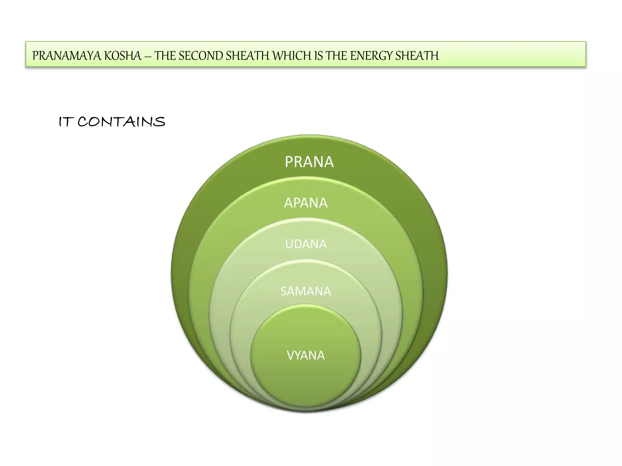 PRANAMAYA KOSHA – THE SECOND SHEATH WHICH IS THE ENERGY SHEATH
IT CONTAINS
PRANA
APANA
UDANA
SAMANA
VYANA
 
