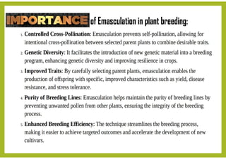 Emusculation topic for seminar emasculation in Plant breeding | PDF