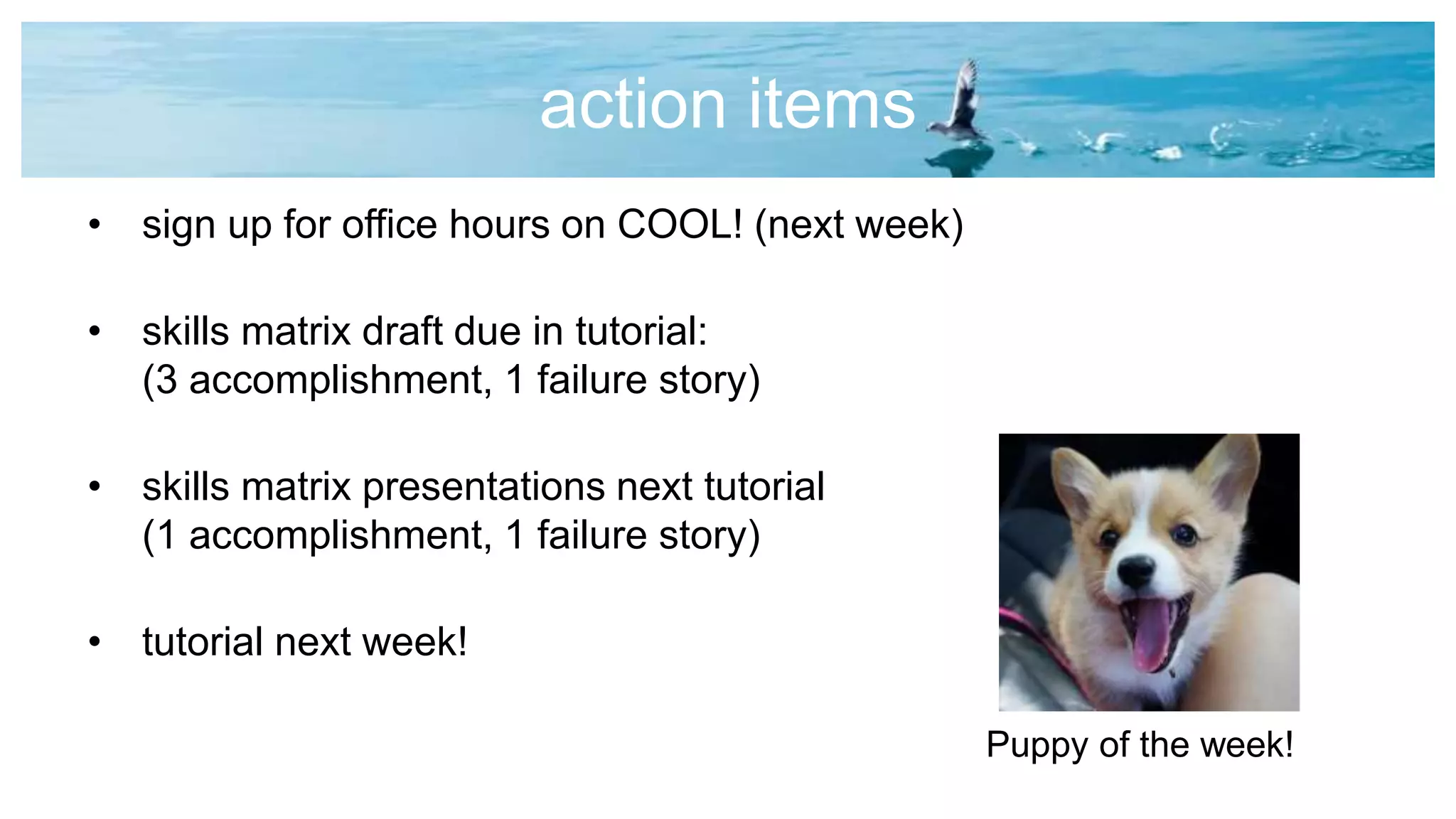 action items
• sign up for office hours on COOL! (next week)
• skills matrix draft due in tutorial:
(3 accomplishment, 1 failure story)
• skills matrix presentations next tutorial
(1 accomplishment, 1 failure story)
• tutorial next week!
Puppy of the week!
 