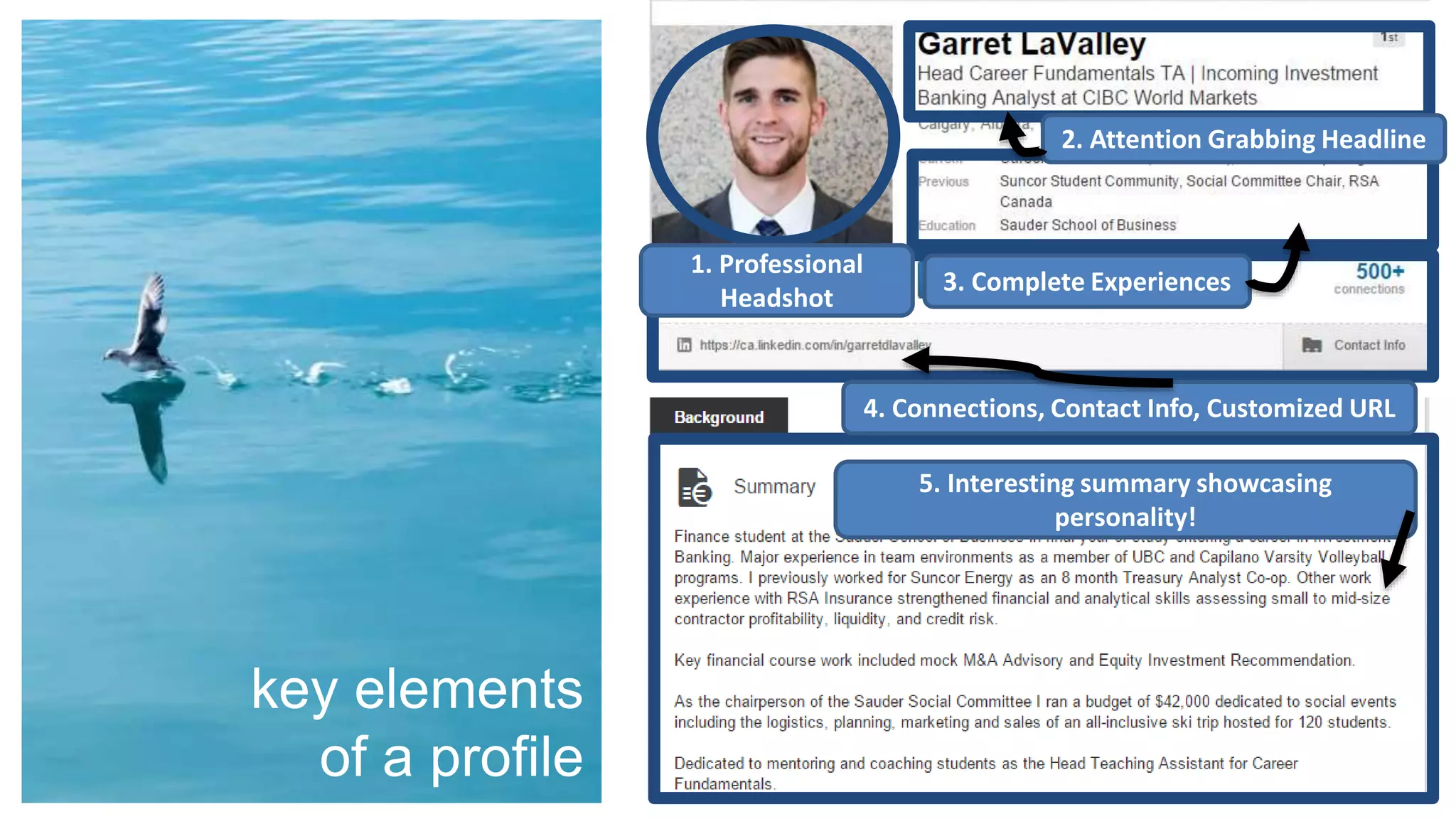 2. Attention Grabbing Headline
1. Professional
Headshot
3. Complete Experiences
4. Connections, Contact Info, Customized URL
5. Interesting summary showcasing
personality!
key elements
of a profile
 